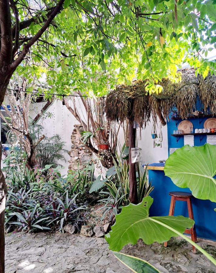Hostal Jardin มาอาอวล ภายนอก รูปภาพ